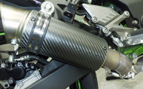 KAWASAKI NINJA 250 SL
