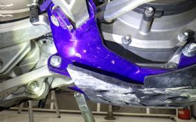 OTHER +ｼｪﾙｺ300SEF