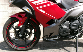 KAWASAKI Ninja 250 ABS EX250P