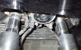 HONDA CBR1100XX 2008