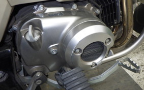 HONDA CT125 HUNTER CUB 2025 JA55