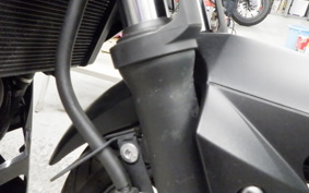 KAWASAKI Z250 ER250C