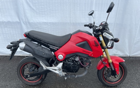HONDA GROM