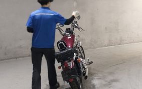 YAMAHA VIRAGO 250 3DM