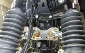 KAWASAKI W800 2019 EJ800B
