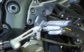 KAWASAKI NINJA 1000 SX 2024 ZXT02K