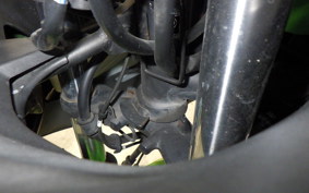 KAWASAKI NINJA 250 ABS EX250L