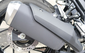 SUZUKI STROM 250 DS11A