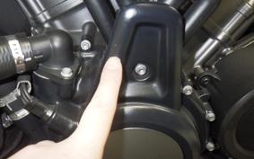 HARLEY ﾊﾟﾝ AMERICA1250S 2021