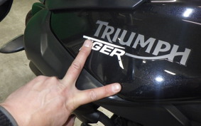 TRIUMPH TIGER 800 2014