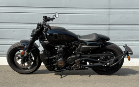 HARLEY HARLEY RH1250S 2022 ZC4