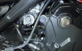 HONDA REBEL 500 A 2021 PC60