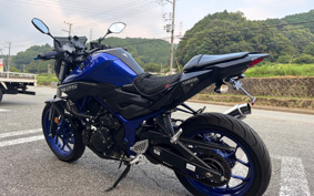 YAMAHA MT-25 RG43J