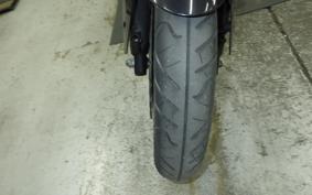 KAWASAKI NINJA 250R 2021 EX250K