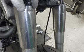 OTHER +UNREGISTERED MODEL by BDS1340 2026