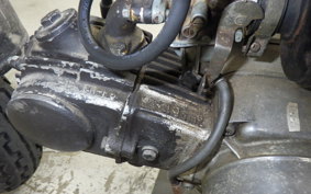 HONDA MONKEY 2025 Z50J