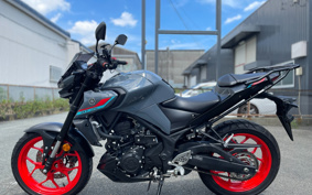 YAMAHA MT-25 ABS RG43J