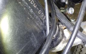 YAMAHA VIRAGO 250 2002 3DM