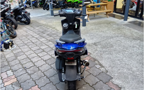 YAMAHA CYGNUS 125 X SED8J