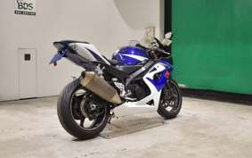 SUZUKI GSX-R1000 2007