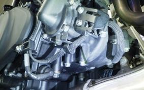 KAWASAKI ELIMINATOR400-3 2024 EL400A