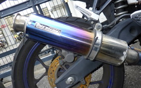 YAMAHA YZF-R25 RG10J