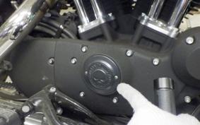 HARLEY XL883N 2011