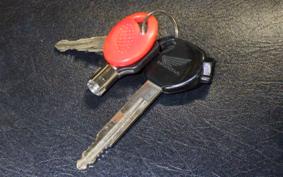 HONDA TODAY 2020 AF61