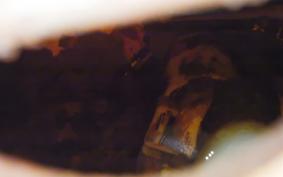 HONDA CRF250L 1994 MD38