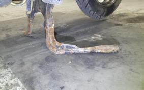 HONDA TODAY 1999 AF61