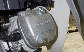 HONDA C110 SUPER CUB 2010 JA10