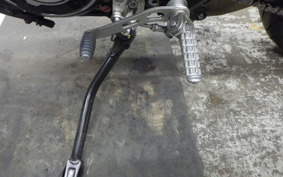 DUCATI SCRAMBLER ICON 2019