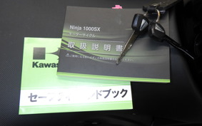 KAWASAKI NINJA 1000SX 2020 ZXT02K