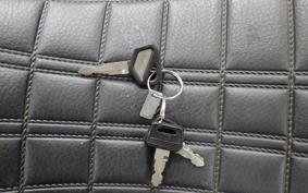 KAWASAKI ZEPHYR 550 2025 ZR550B