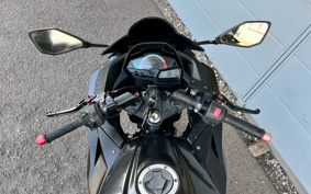 KAWASAKI NINJA 250 EX250L