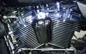 OTHER +HD. FLHXS1870 2021