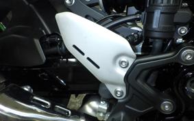 KAWASAKI Z900RS 2025 ZR900K