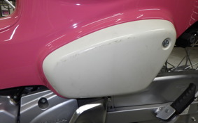 HONDA C110 SUPER CUB