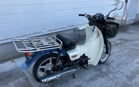 SUZUKI  NEW 聞 BIRDIE 50 BA43A