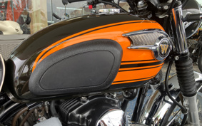 KAWASAKI W800 FINAL ED 2017 EJ800A