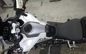 TRIUMPH TIGER 1200 GT PRO 2024