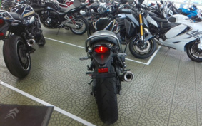 KAWASAKI Z900RS CAFE 2023 ZR900K