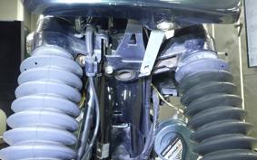 KAWASAKI W800 2020 EJ800B