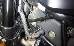 HUSQVARNA SVARTPILEN 250 2021