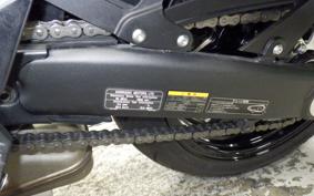 KAWASAKI NINJA 1000SX 2024 ZXT02K