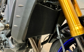 YAMAHA MT-09 SP ABS 2021 RN69J