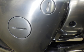 KAWASAKI W800 2023 EJ800E