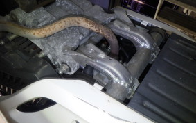 HONDA PCX 125 JF28
