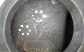 HONDA CB1300SF SUPER FOUR 1998 SC40