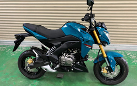 KAWASAKI Z125 PRO BR125H